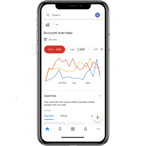 Google ads dashboard